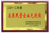 民營企業先進獎